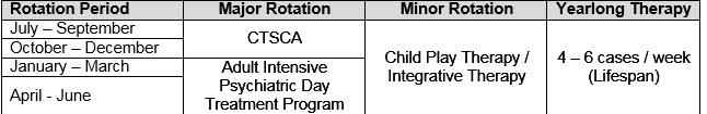 psychology-internship-lifespan-treatment