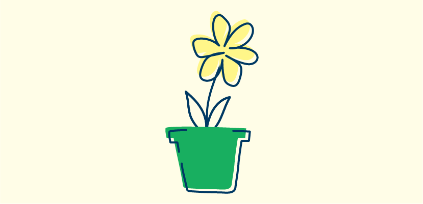 flower growing in a pot