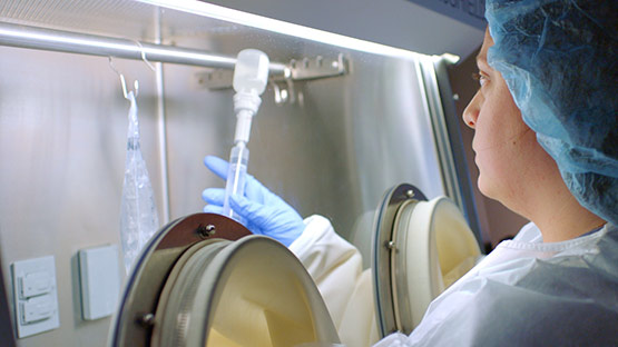 Image of innovative immunotherapy treatment